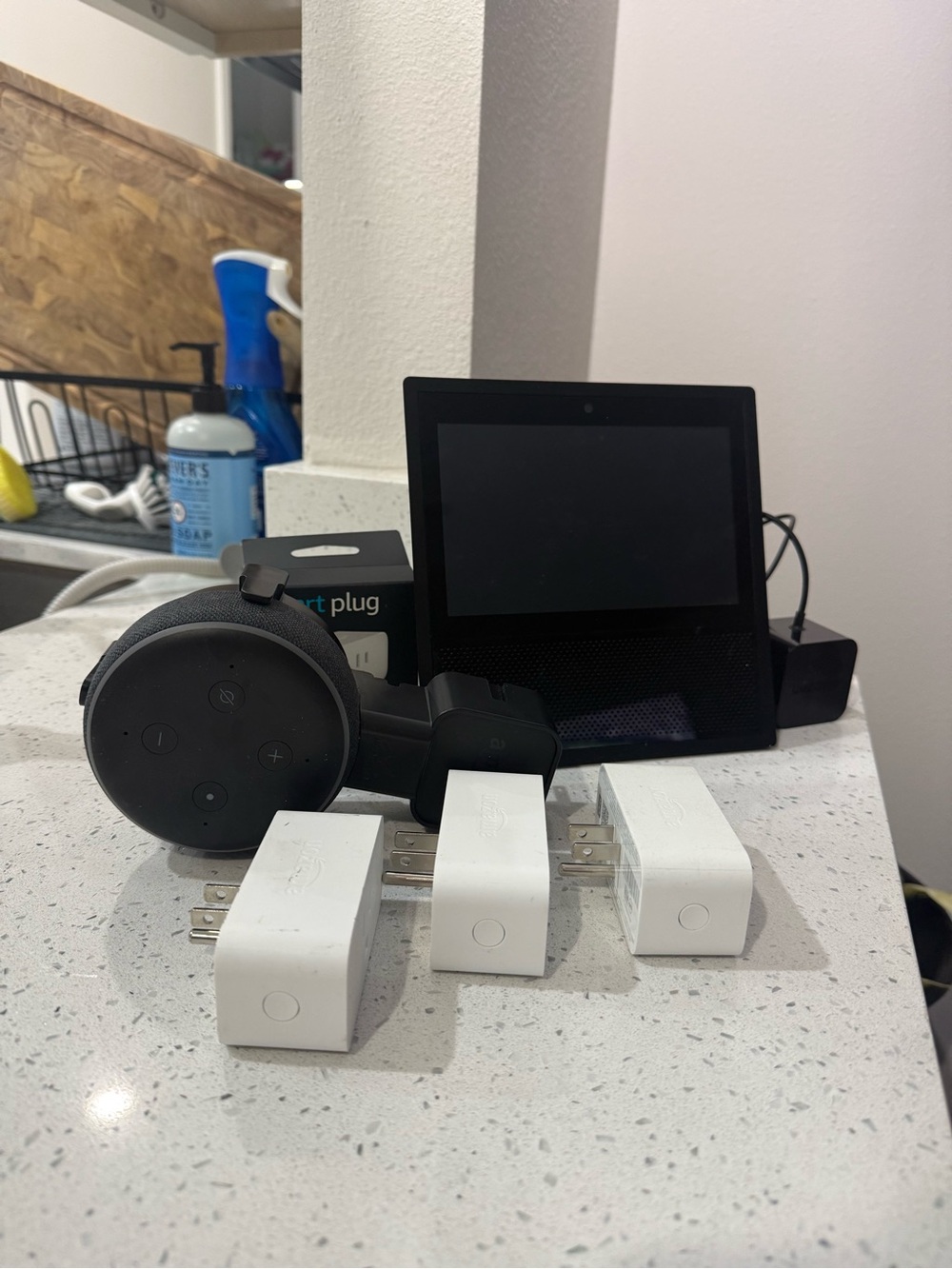 Amazon Echo Dot, Show and Smart Plugs Bundle